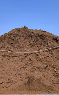 کود گاوی