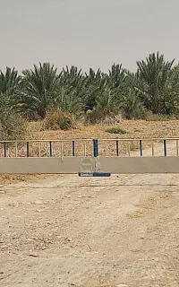 مشارکت در کار گل خانه