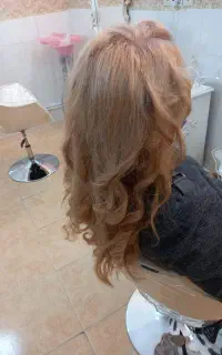 اجاره صندلی سالن