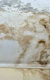 نشت یابی و لوله بازکنی نمیابی با دستگاه رفع رطوبت