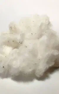 پنبه حلاجی شده