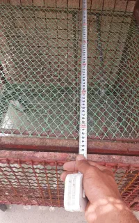 کبوتر و قفس