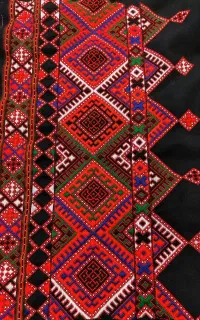 زی استین