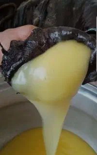 روغن گاوی اصل باشرط تست