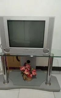 تلویزیون.