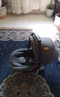 کریرر نوزاد مارک دلیجان