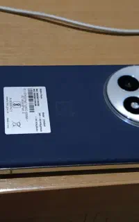 OnePlus 13