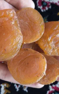 قیسی زردآلو