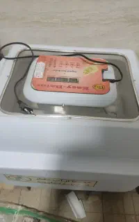 دستگاه جوجه کشی ایز باتور 4 اسکندری