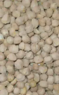 نخود بهاره (سرابله)