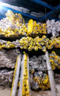 فرش۱۲متری انباربزرگ پخش ارزان قیمت حاجی حسینی طلاب