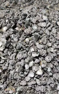 کود کفتر شهرستان بوانات