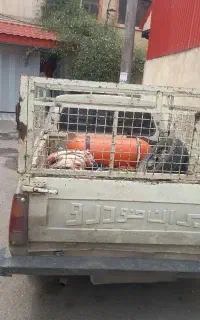 پیکان وانت
