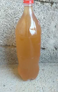 آبغوره خام و جوشیده