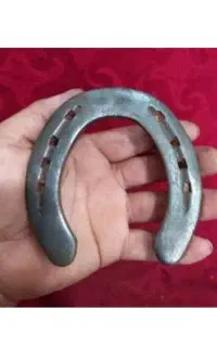 نعل اسب دویده