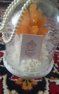 شاخه نبات