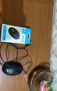 موس میکاسو‌