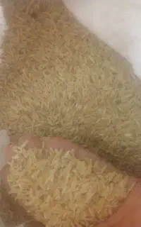 جو محلی دیم