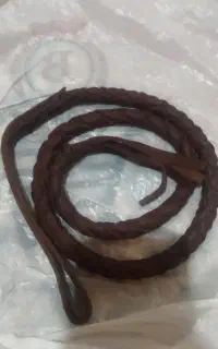 شلاق اسب