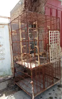 قفس کبوتر یا مرغ همچین توش جا می‌شوند