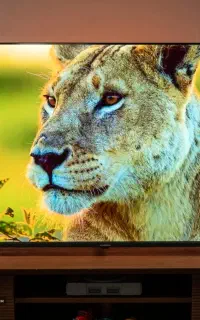 تلویزیون ایکس ویژن با کارت کالاپی