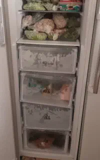 تعمیر لوازم خانگی دلیخانی