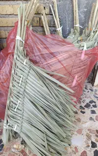 جاروپیش نخل