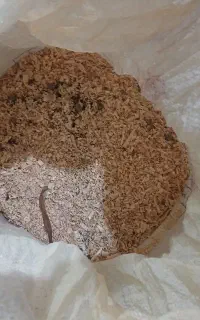 پوشال خرگوش و خوکچه هندی