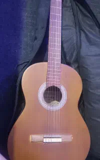 گیتارnovice model100