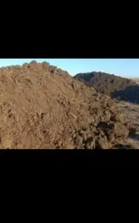 کود خالص گوسفندی  وریز و کهنه درجه یک