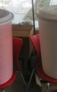 سطل