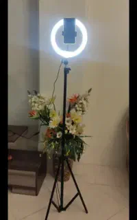 رینگ لایت
