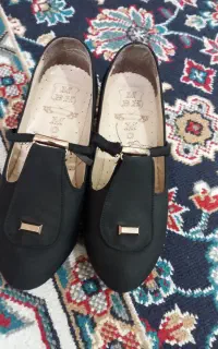 کفش مجلسی