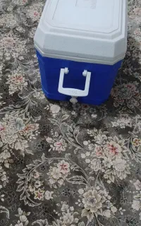 کلمن نونو