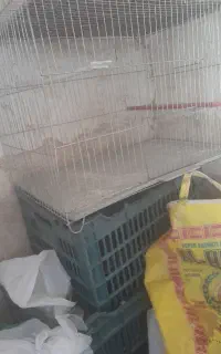 قفس پرنده