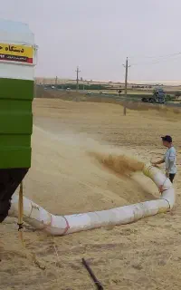 کاه