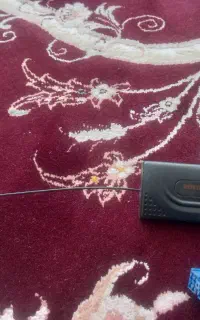 دزدگیر تصویری سالم