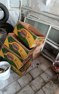 کارتن موزی و سبد
