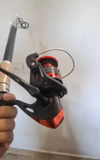 لنسر ماهیگیری