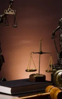 وکیل دادگستری / خدمات حرفه ای و تخصصی