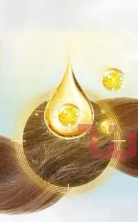 شامپو موی سر حاوی روغن مورینگا ۳۰۰ میل EXONIC