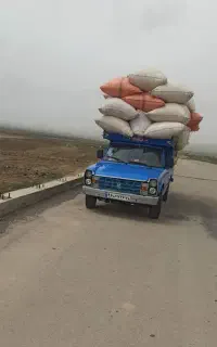 فروش وتحویل کاه جو