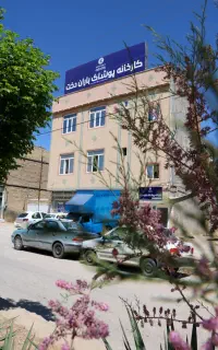 استخدامی حسابداری