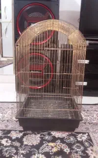 قفس