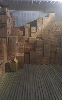استخدام فروشنده بازاریاب