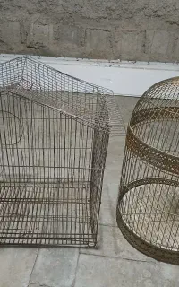 فروش قفس