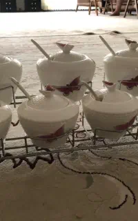 پاسماوری سرامیکی پروانه‌