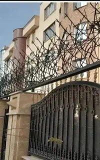 باکمترین هزینه.حفاظ.شاخ گوزنی.زیبا