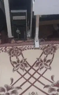کیس ومیز