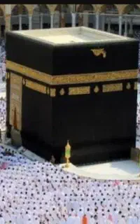 فیش حج عمره